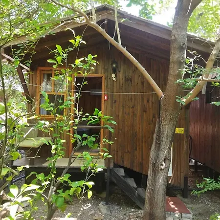 Zakkum 酒店