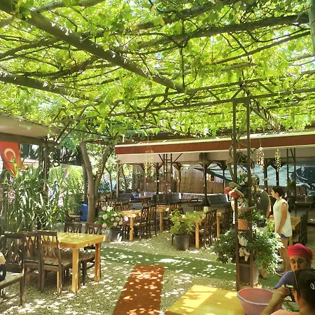 Zakkum * 올림포스