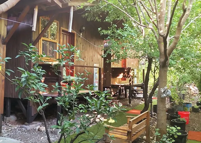 Zakkum Олимпос