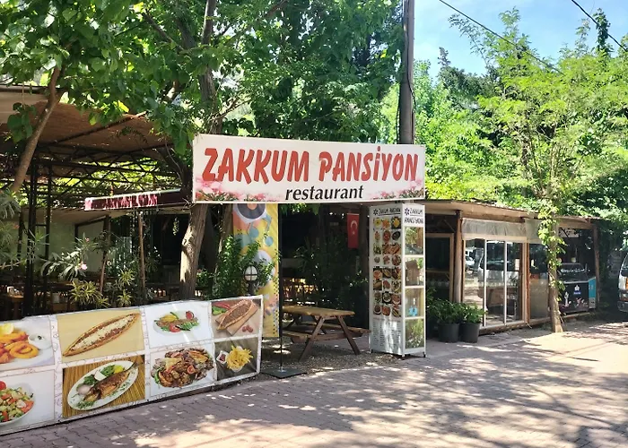 Отель Zakkum *