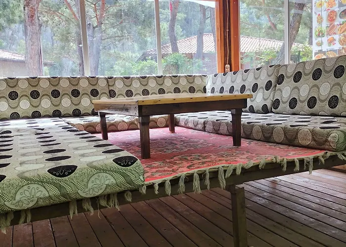 Zakkum Олимпос