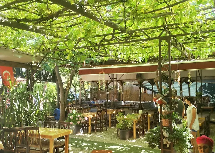 Zakkum * Олимпос