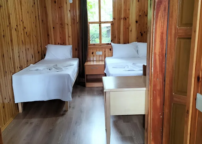 Zakkum Олимпос